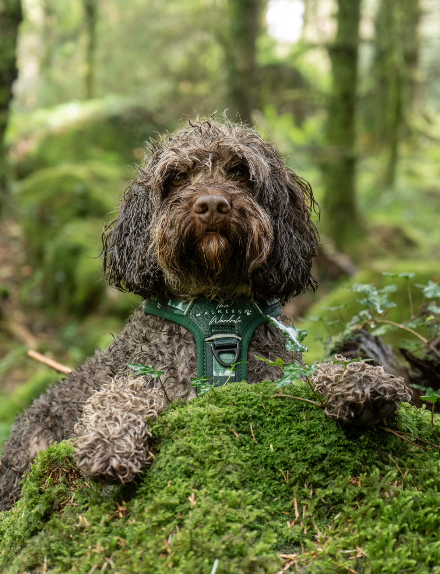 Forest Whispers Y-Flex Pro ™ harness Evergreen Hollow