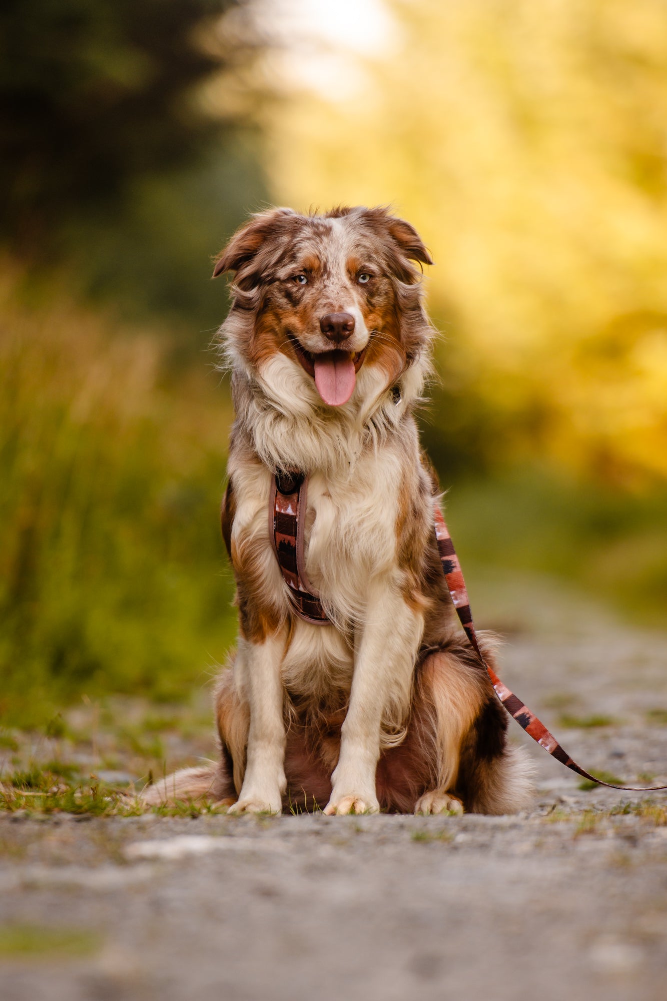 Forest Whispers Y-Flex Pro ™ Harness Chestnut Glade