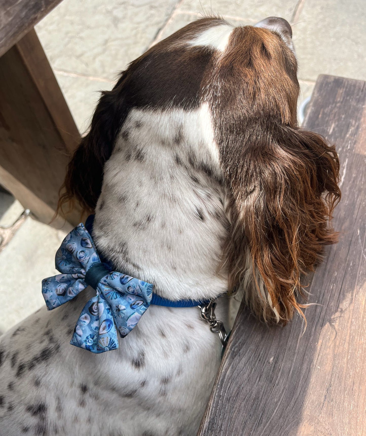 Seashell Symphony Sailor Bow