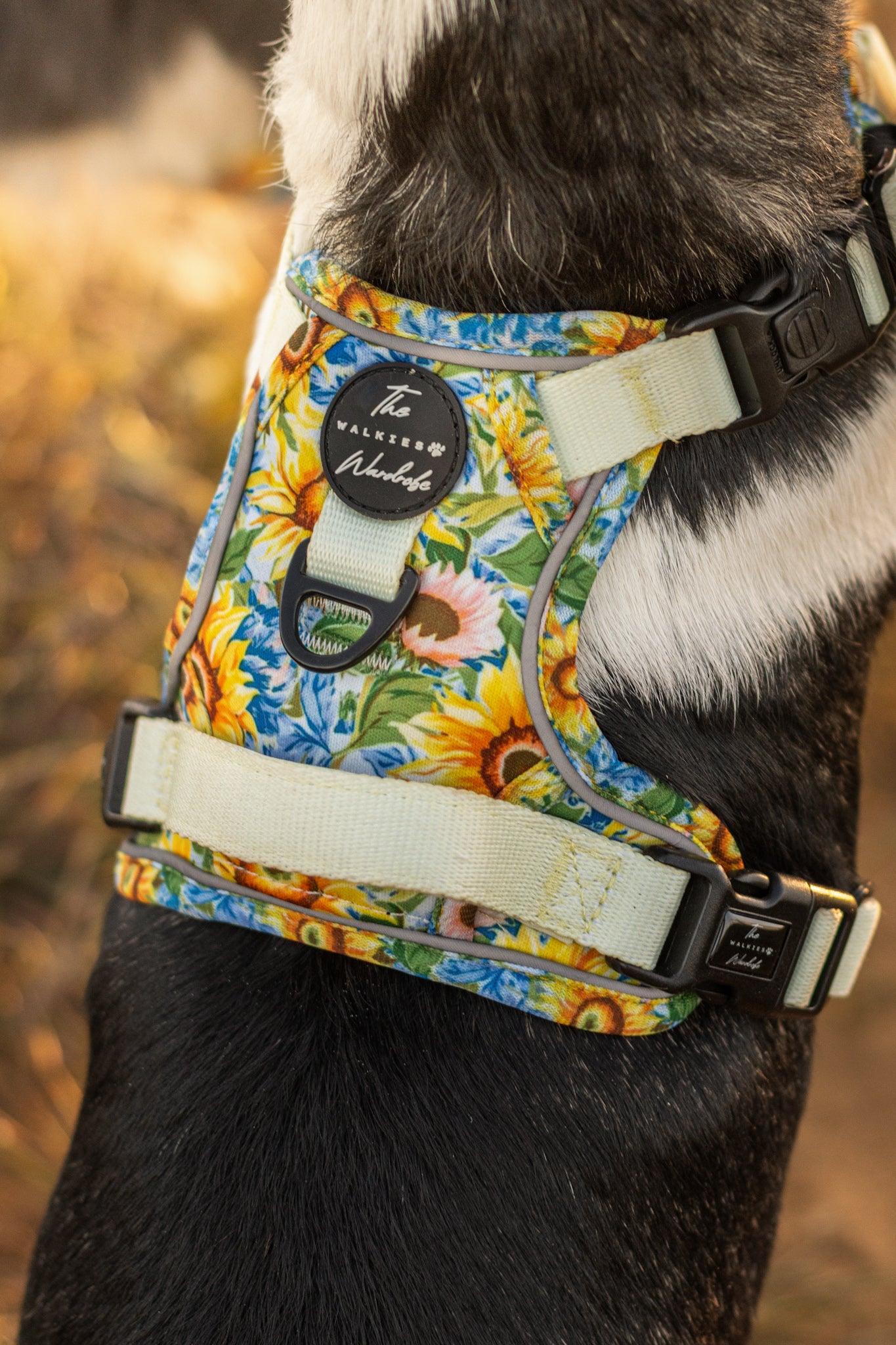 Follow the Sun Tough Trekker plushcore ™ Harness