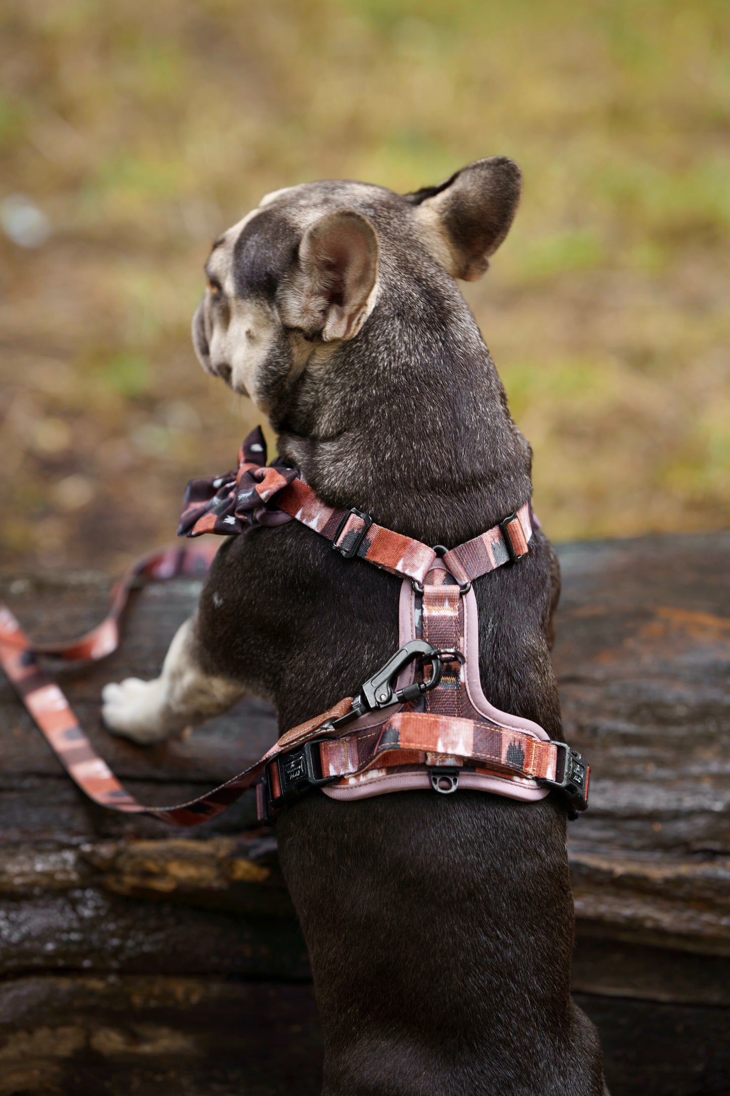 Forest Whispers Y-Flex Pro ™ Harness Chestnut Glade