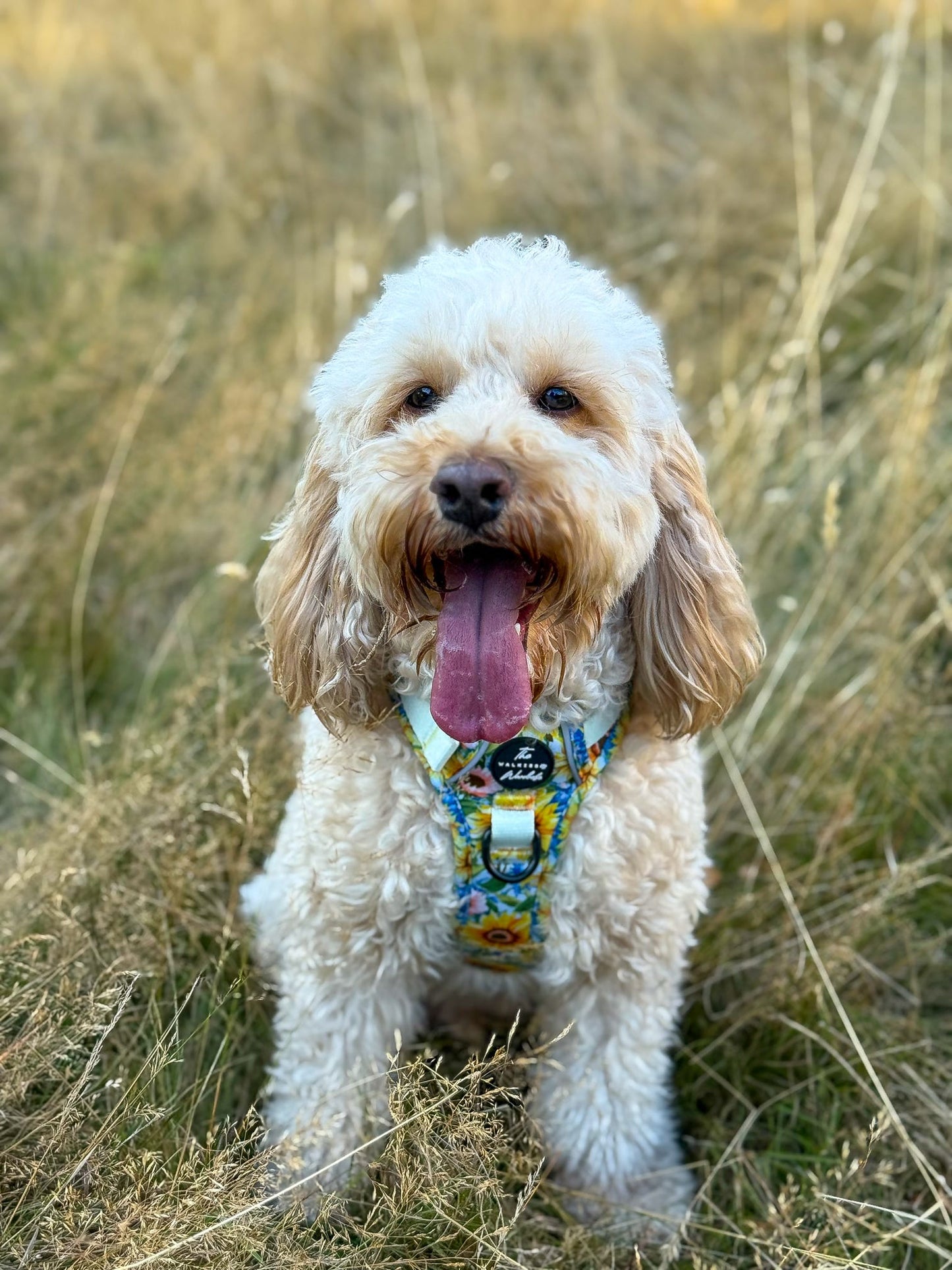 Follow the Sun Tough Trekker plushcore ™ Harness