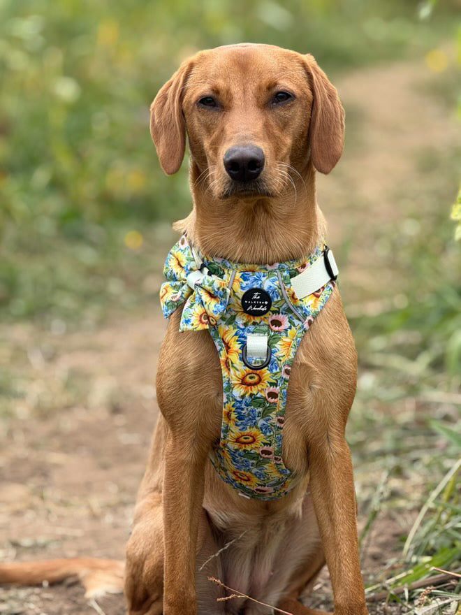 Follow the Sun Tough Trekker plushcore ™ Harness