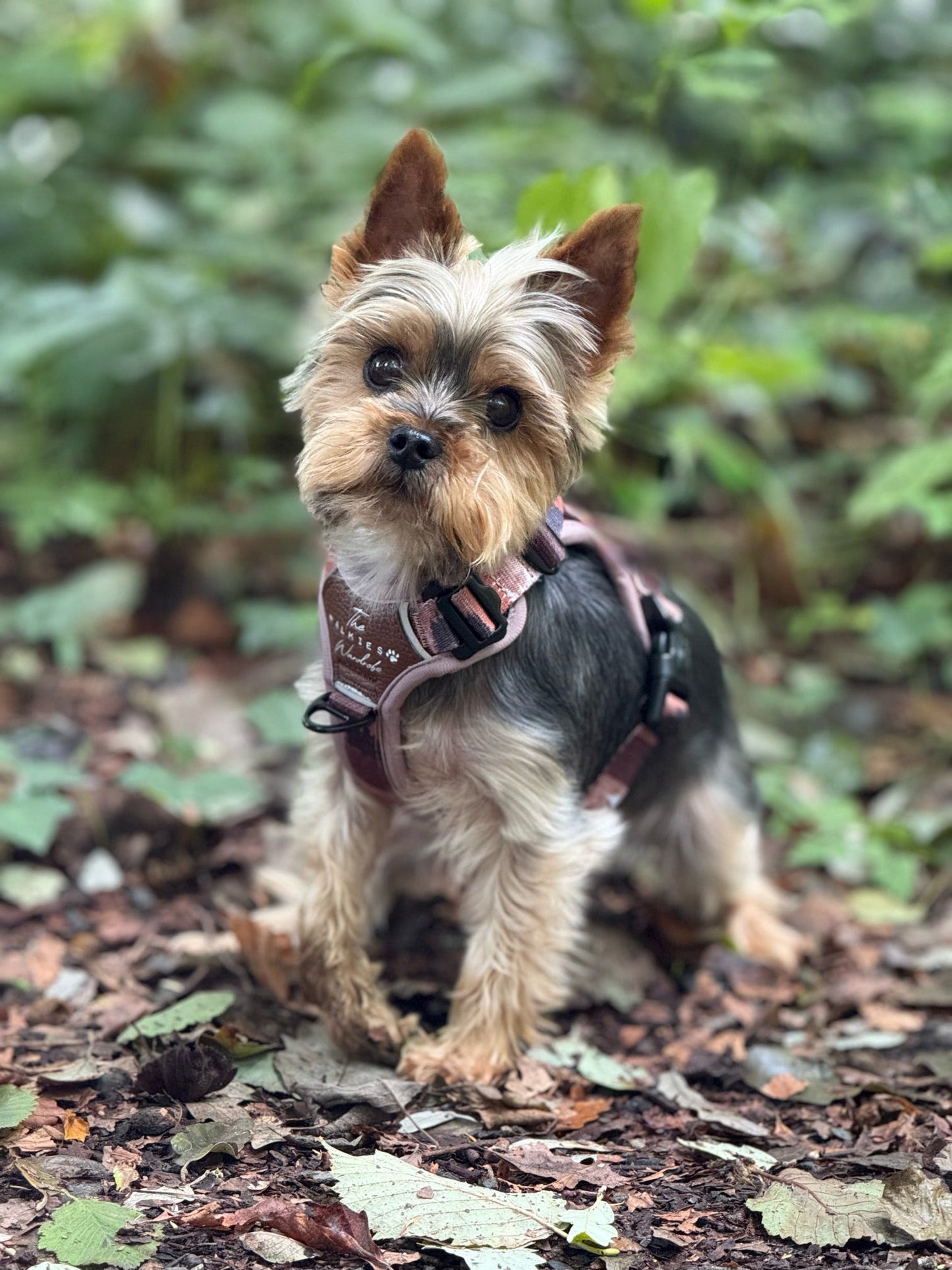 Forest Whispers Y-Flex Pro ™ Harness Chestnut Glade