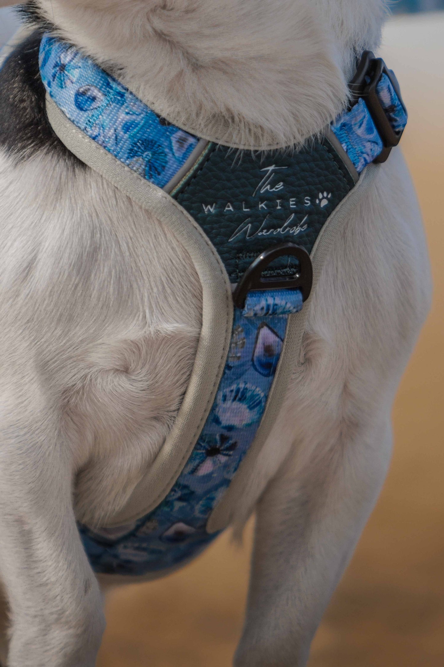 Seashell Symphony Y-Flex Pro ™ harness