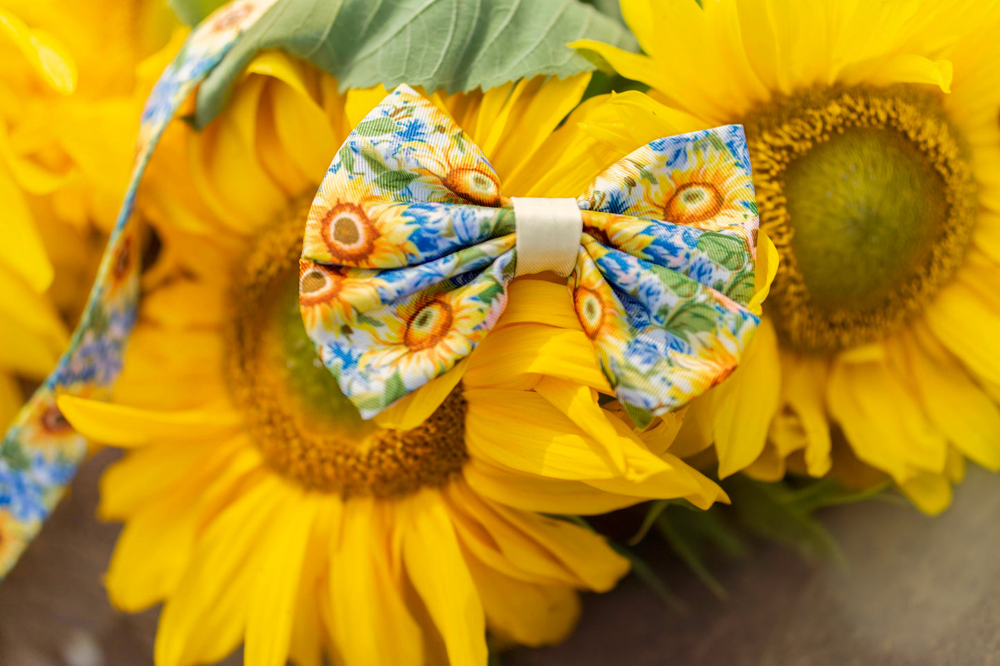 Follow the Sun Sailor Bow