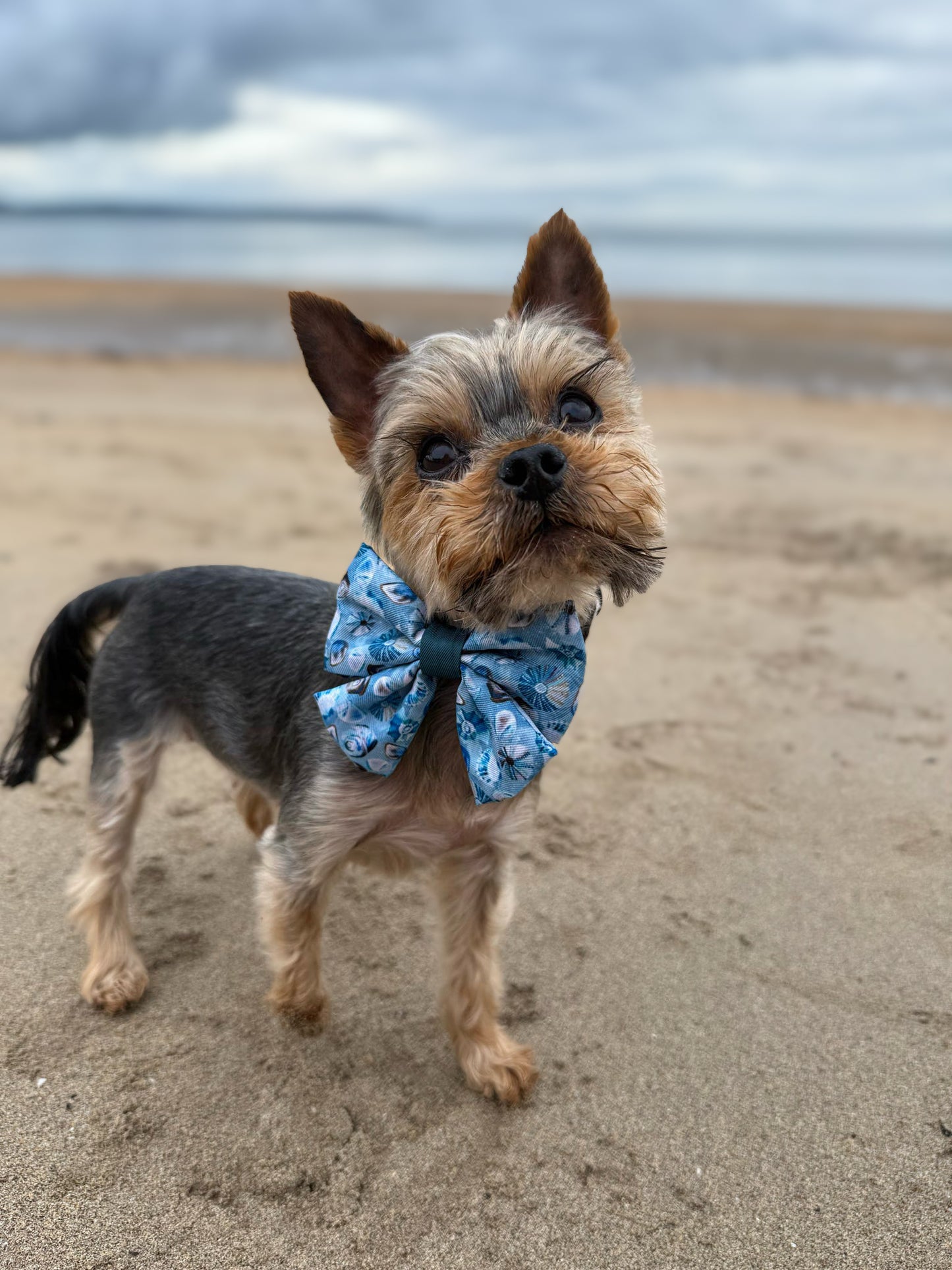 Seashell Symphony Sailor Bow