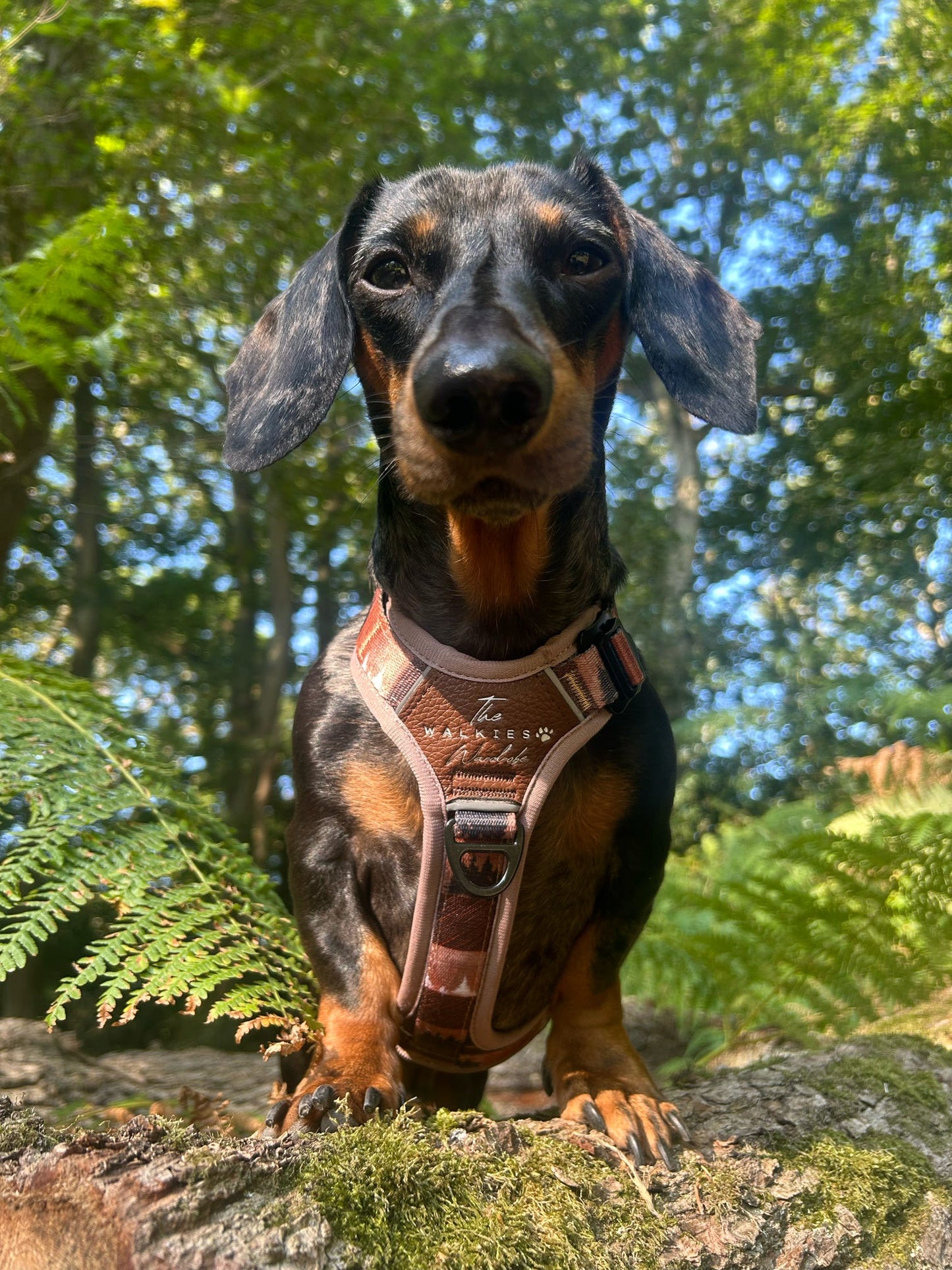 Forest Whispers Y-Flex Pro ™ Harness Chestnut Glade