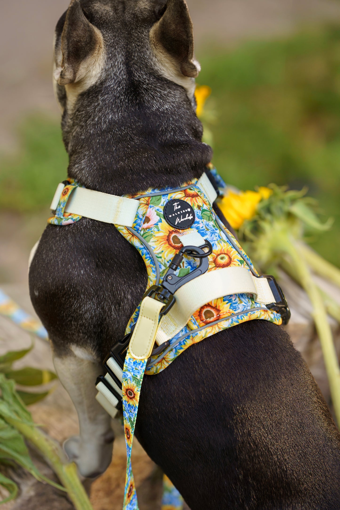 Follow the Sun Tough Trekker plushcore ™ Harness
