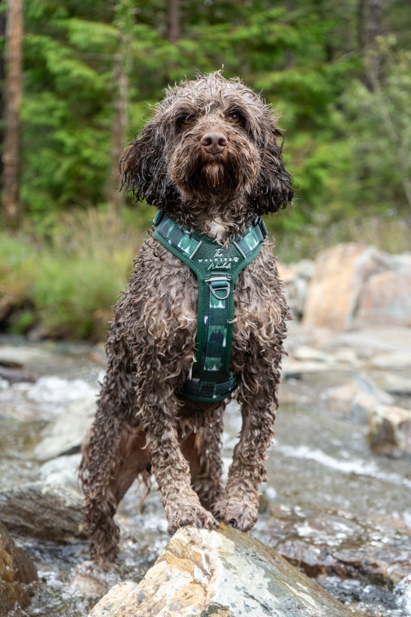 Forest Whispers Y-Flex Pro ™ harness Evergreen Hollow