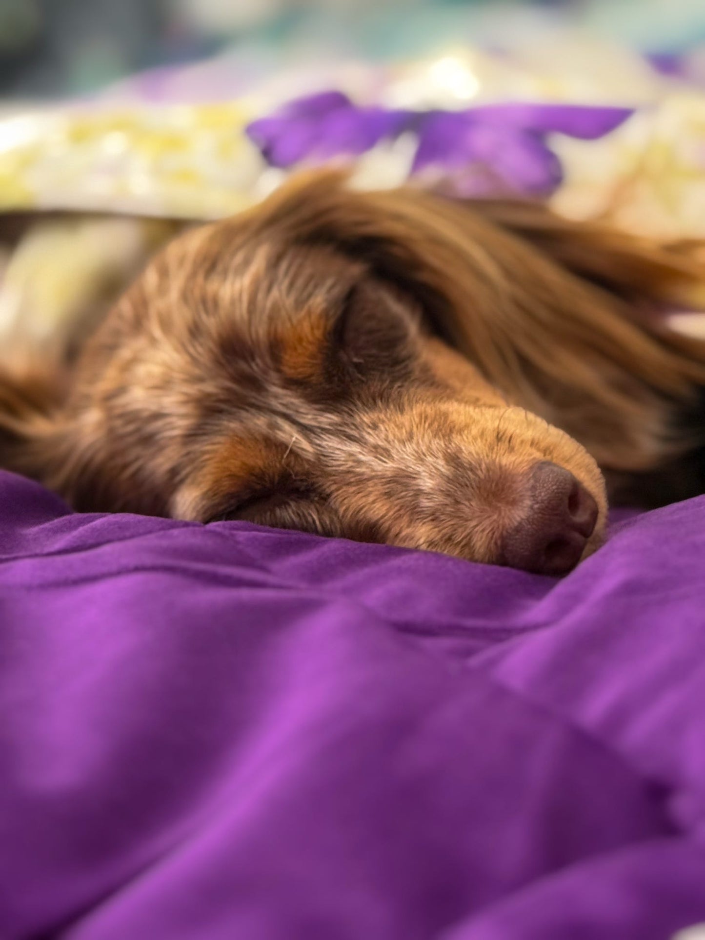 Beautiful Becoming luxurious blanket