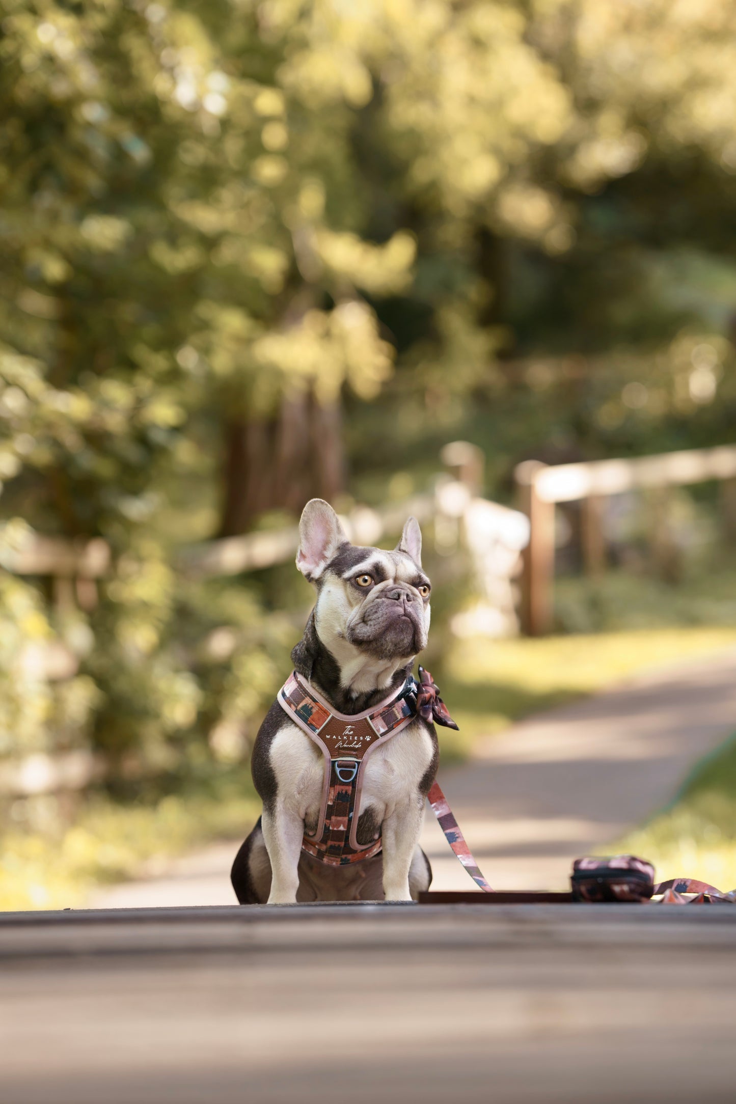 Forest Whispers Y-Flex Pro Harness Chestnut Glade