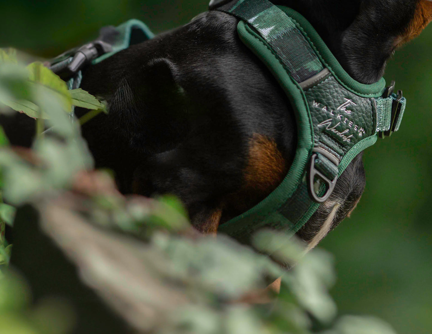 Forest Whispers Y-Flex Pro ™ harness Evergreen Hollow