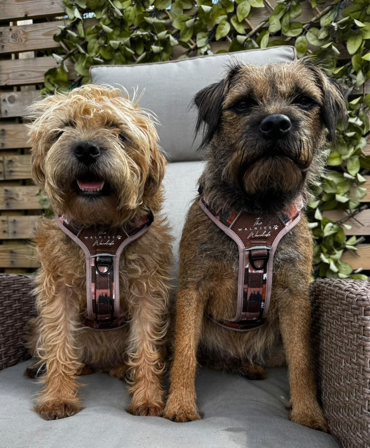 Forest Whispers Y-Flex Pro ™ Harness Chestnut Glade