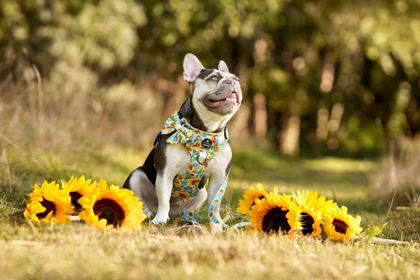 Follow the Sun Tough Trekker plushcore ™ Harness