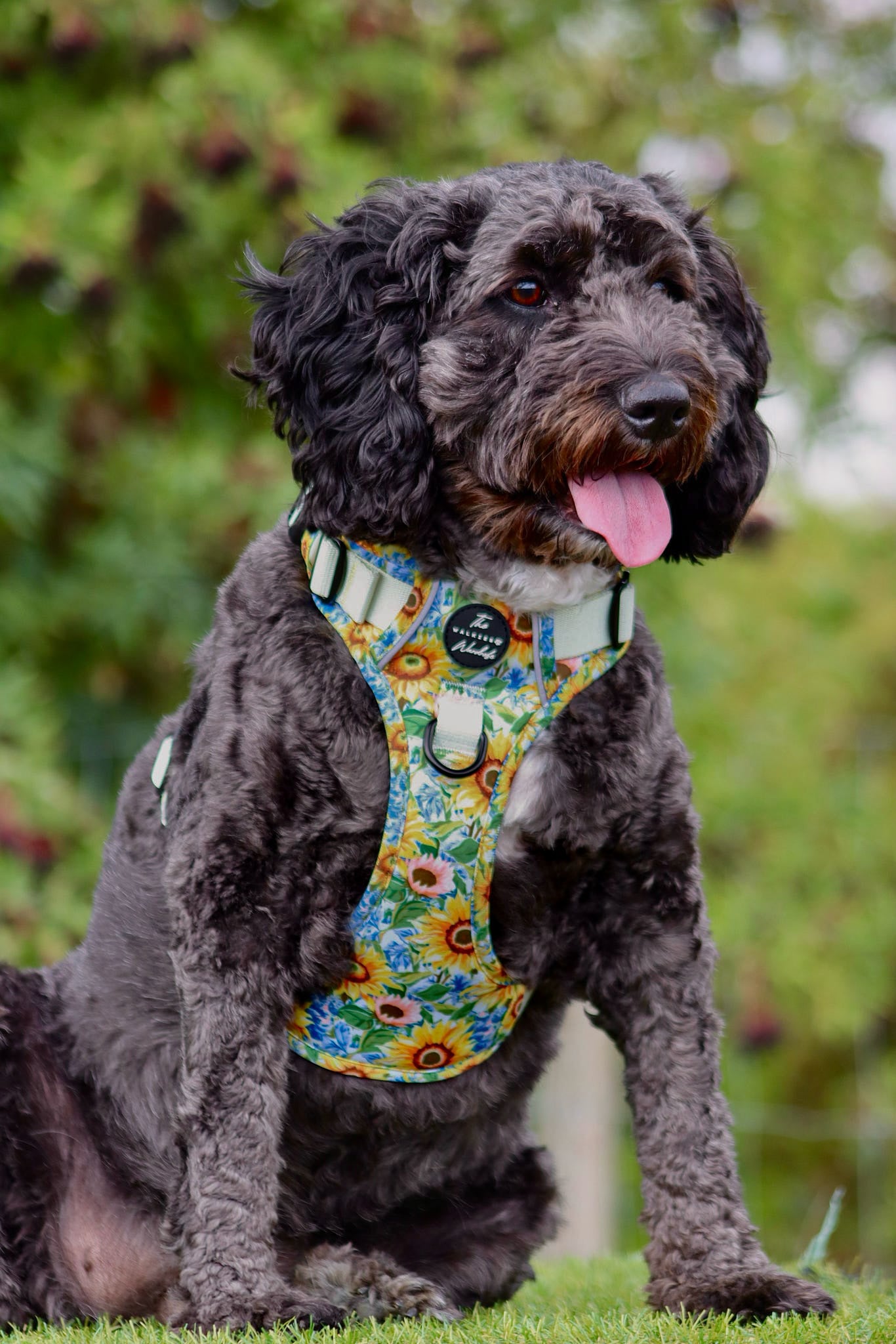 Follow the Sun Tough Trekker plushcore ™ Harness