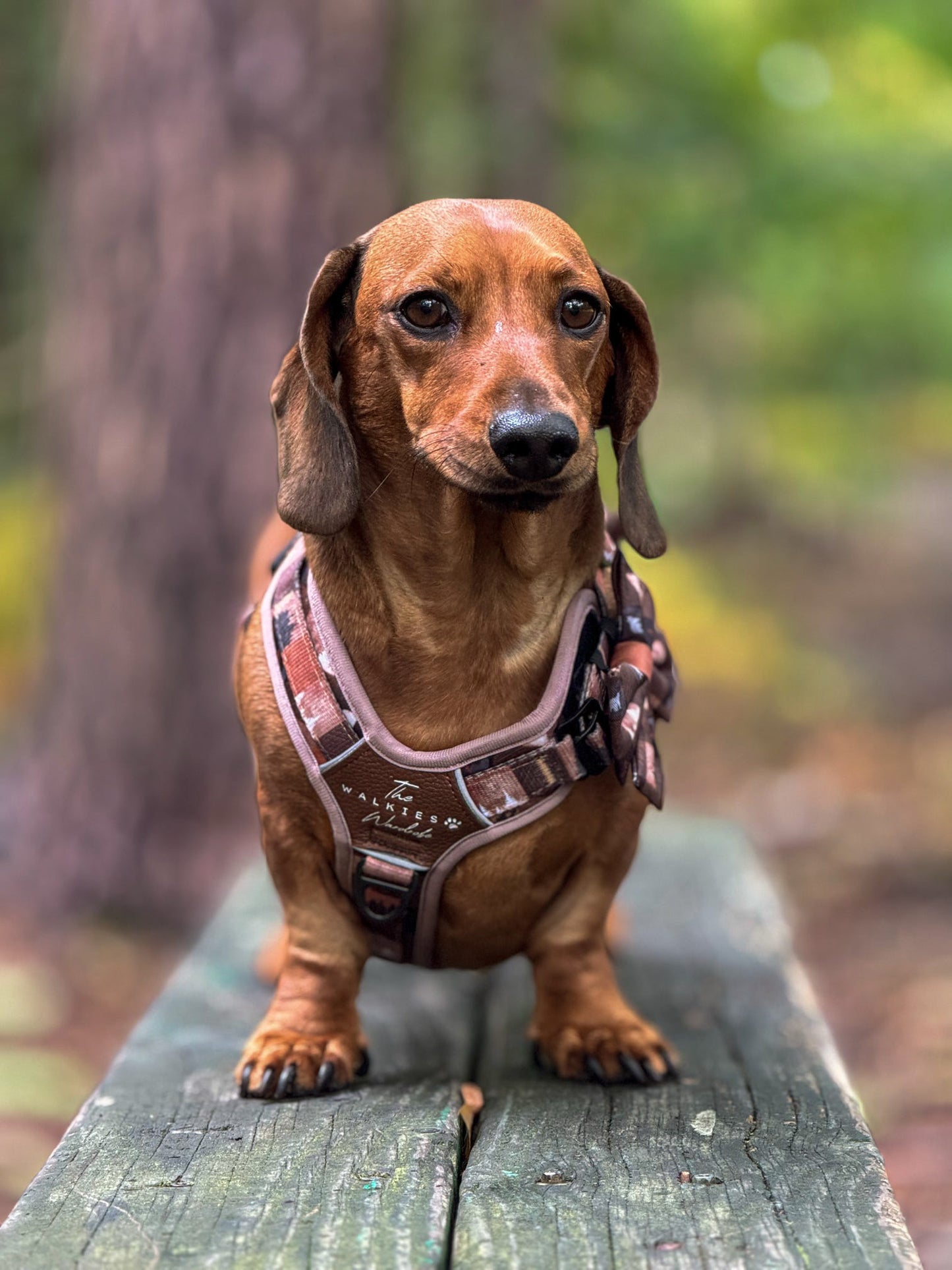Forest Whispers Y-Flex Pro ™ Harness Chestnut Glade