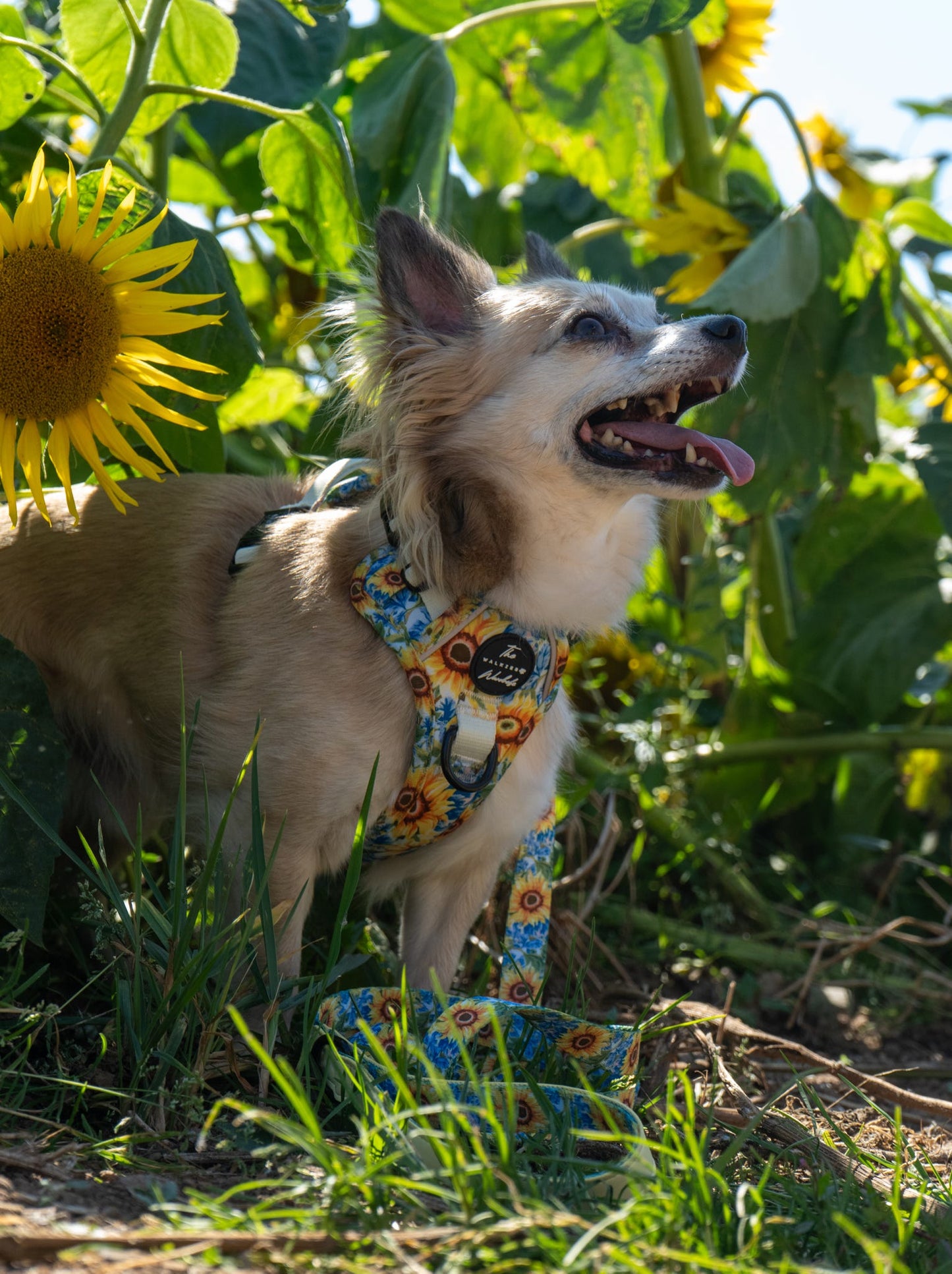 Follow the Sun Tough Trekker plushcore ™ Harness