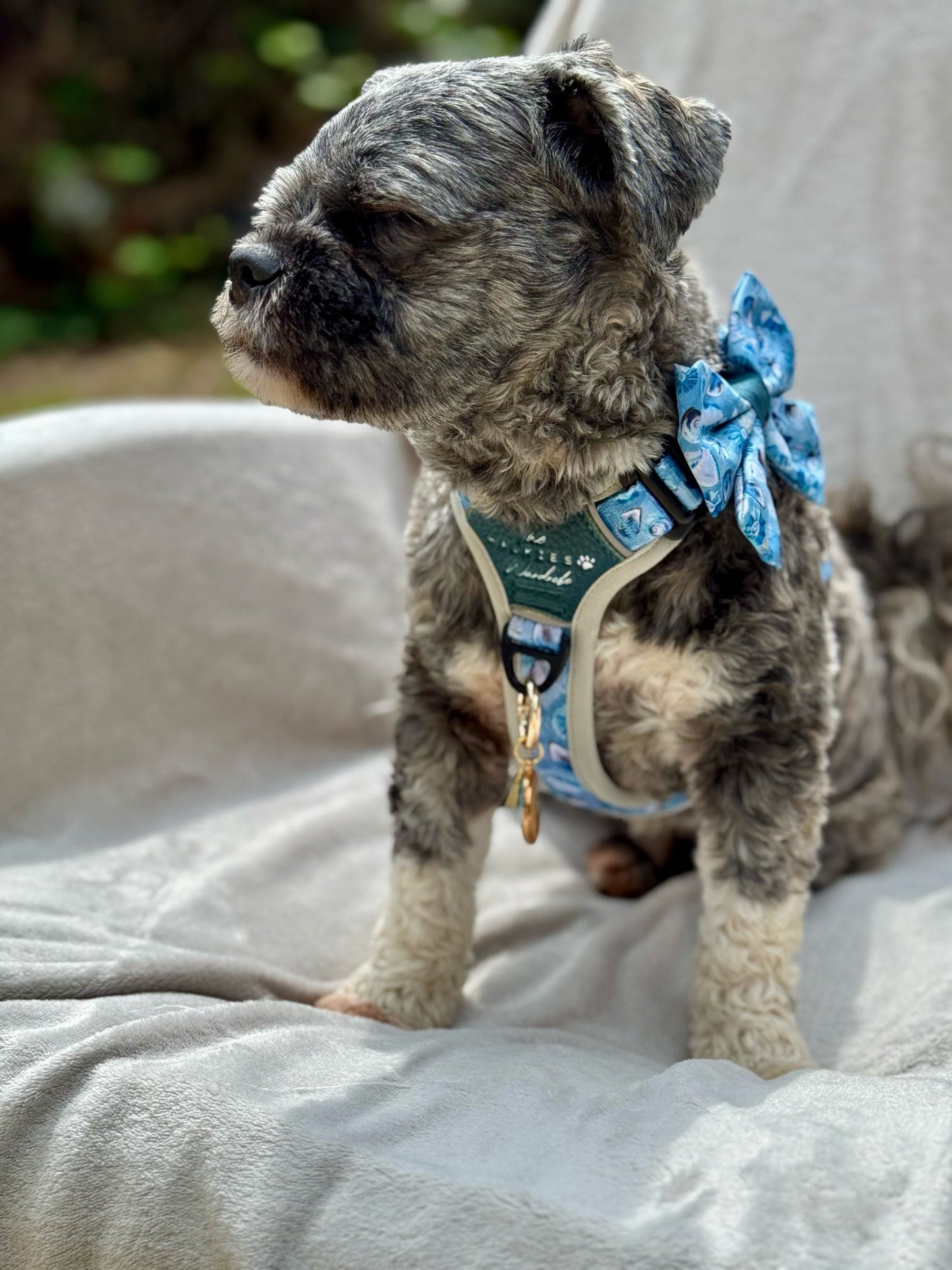 Seashell Symphony Y-Flex Pro ™ harness