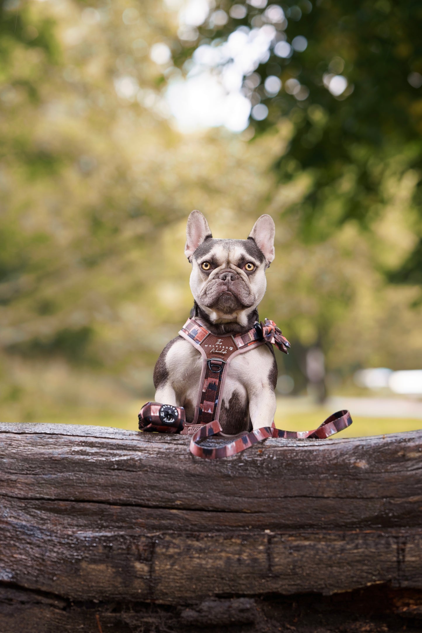 Forest Whispers Y-Flex Pro ™ Harness Chestnut Glade