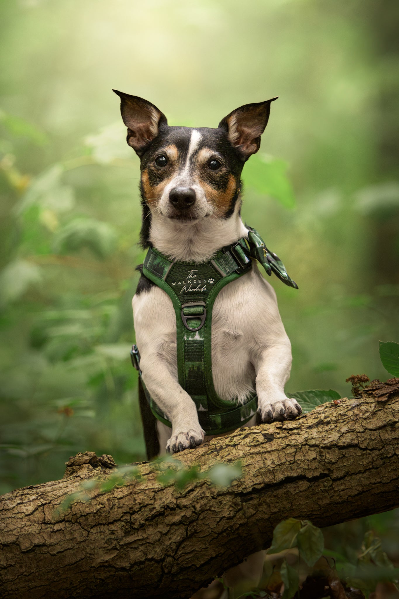 Forest Whispers Y-Flex Pro ™ harness Evergreen Hollow