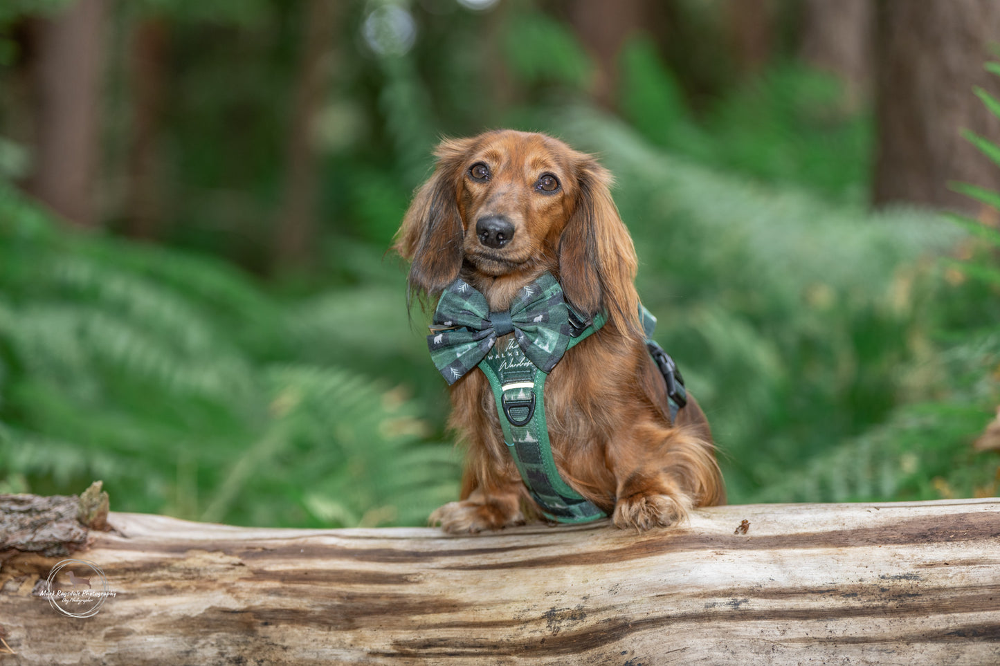 Sailor Bow Tie - Evergreen Hollow