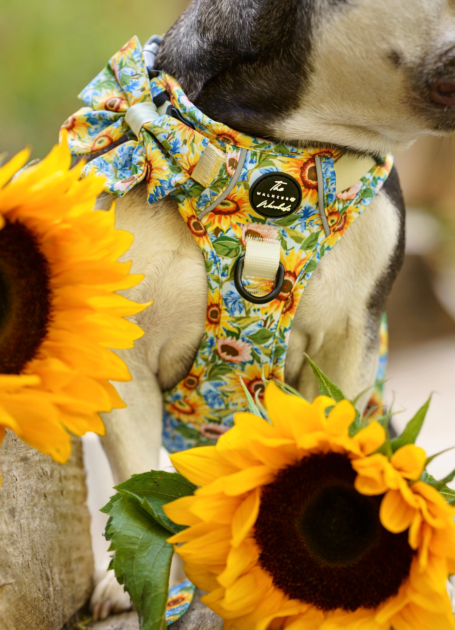Follow the Sun Tough Trekker plushcore ™ Harness