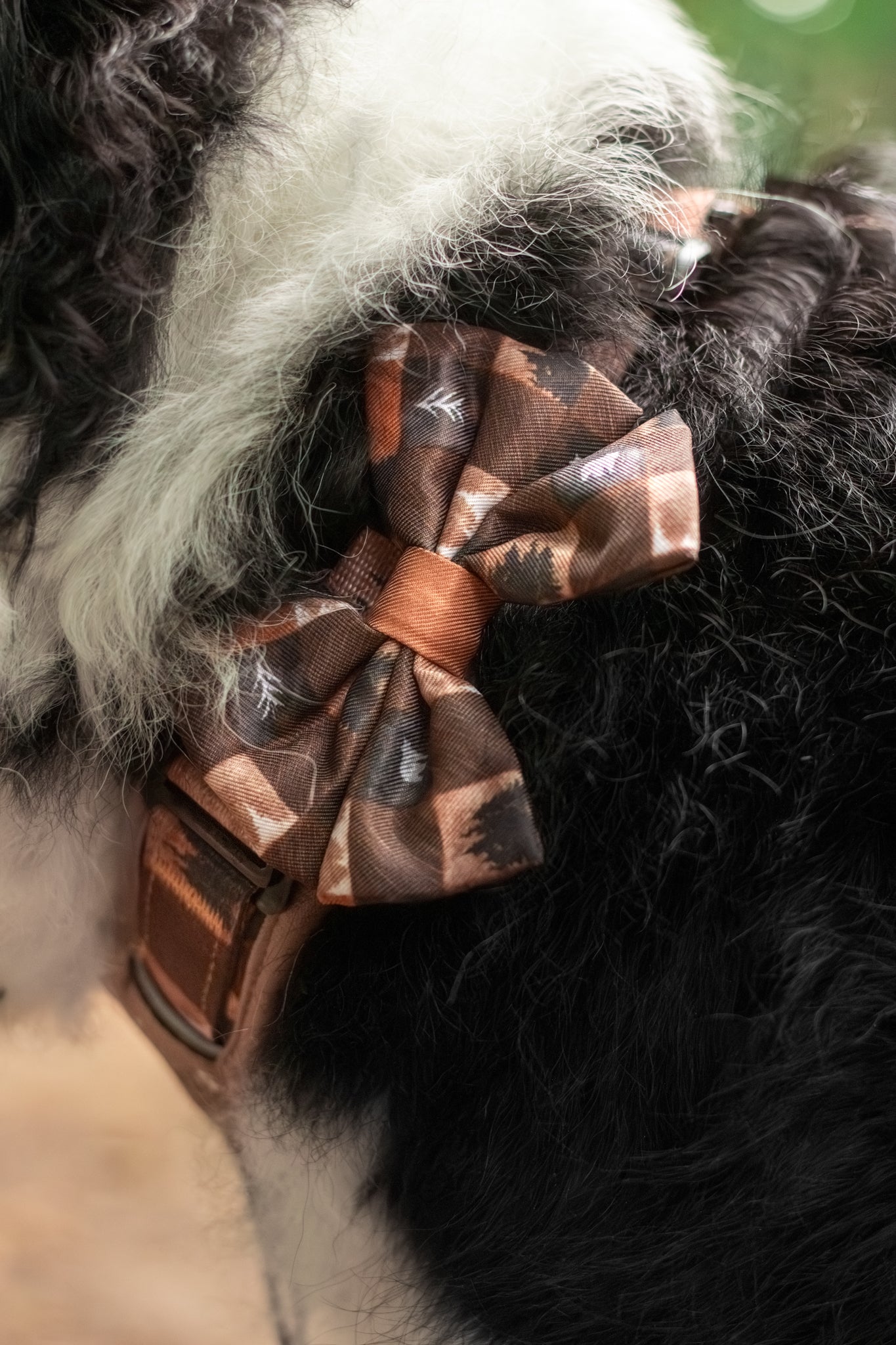 Sailor Bow Tie - Chestnut Glade