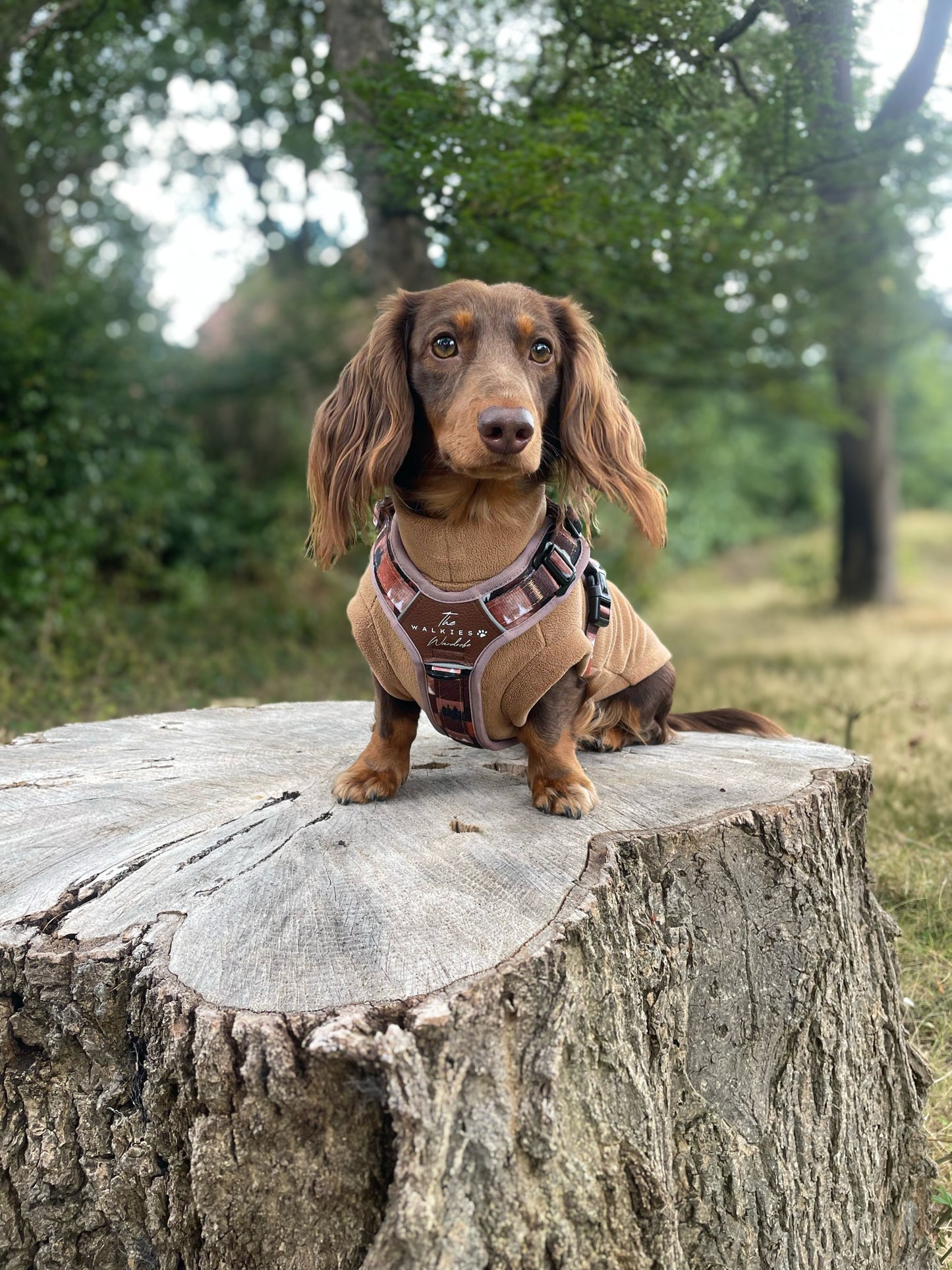Forest Whispers Y-Flex Pro ™ Harness Chestnut Glade