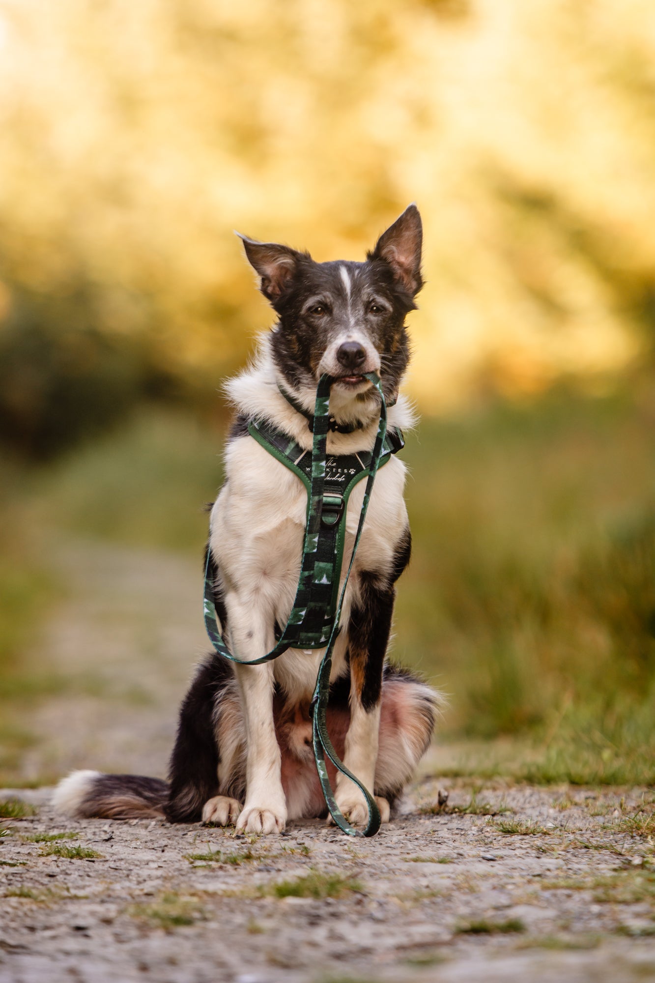 Forest Whispers Y-Flex Pro ™ harness Evergreen Hollow