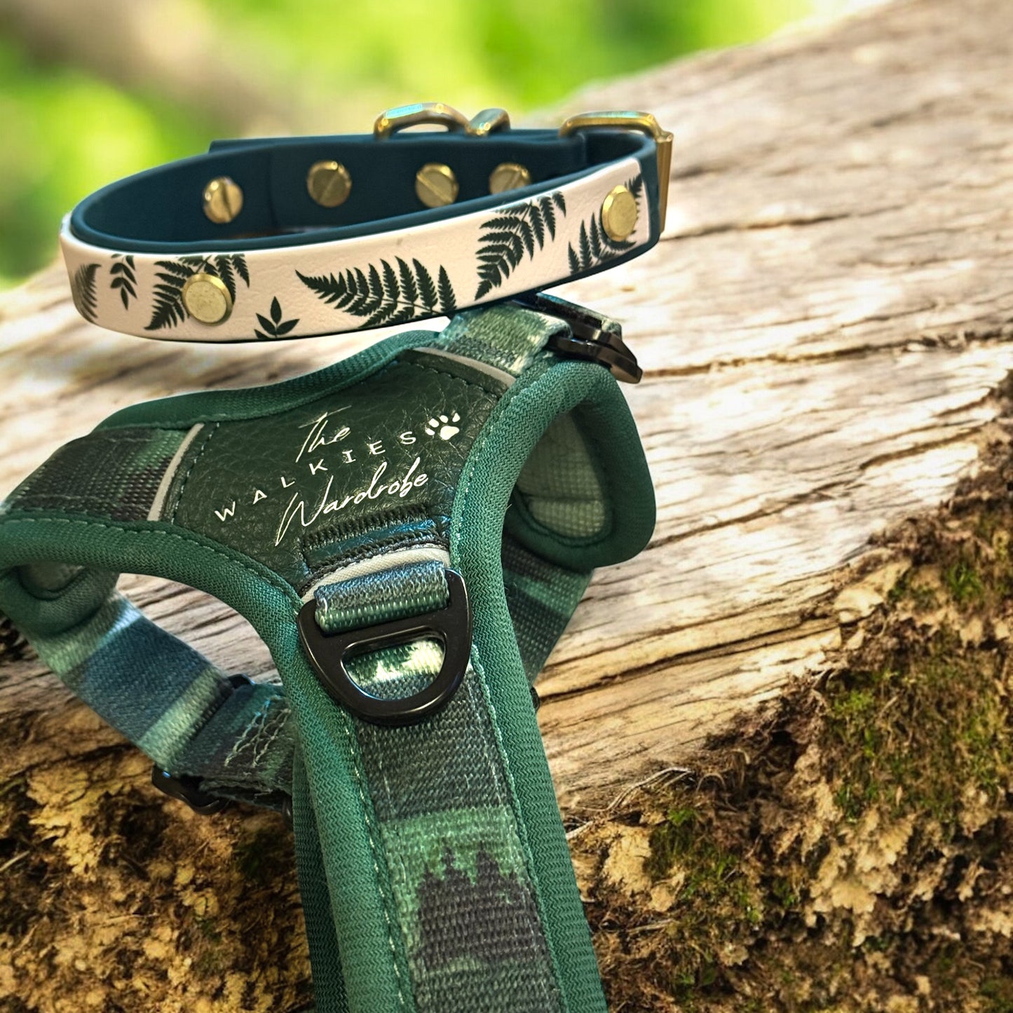 Wildriver and The Walkies Wardrobe Harness, Collar and lead Collaboration