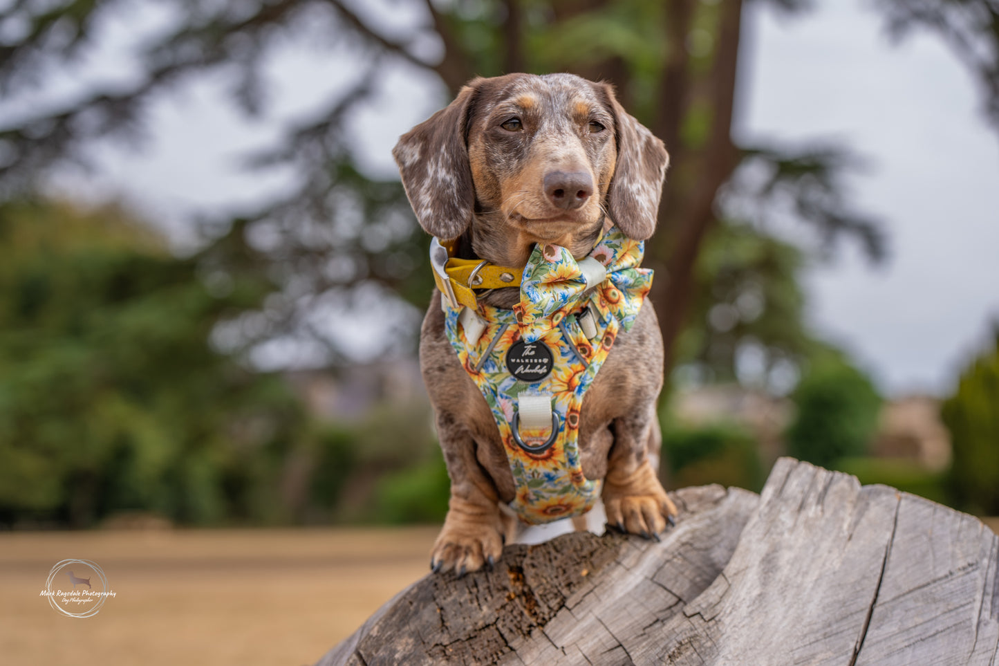 Follow the Sun Tough Trekker plushcore ™ Harness