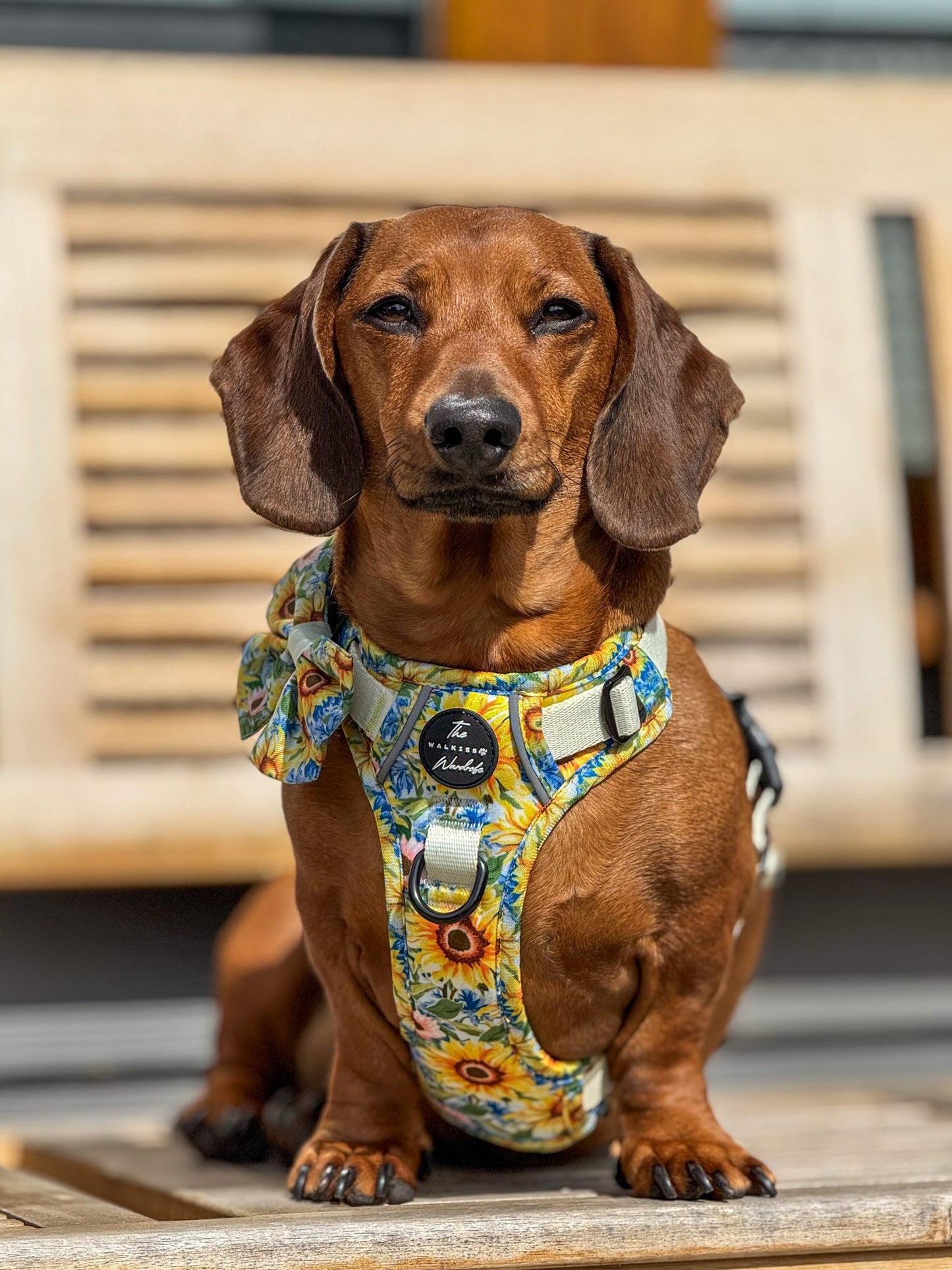 Follow the Sun Tough Trekker plushcore ™ Harness