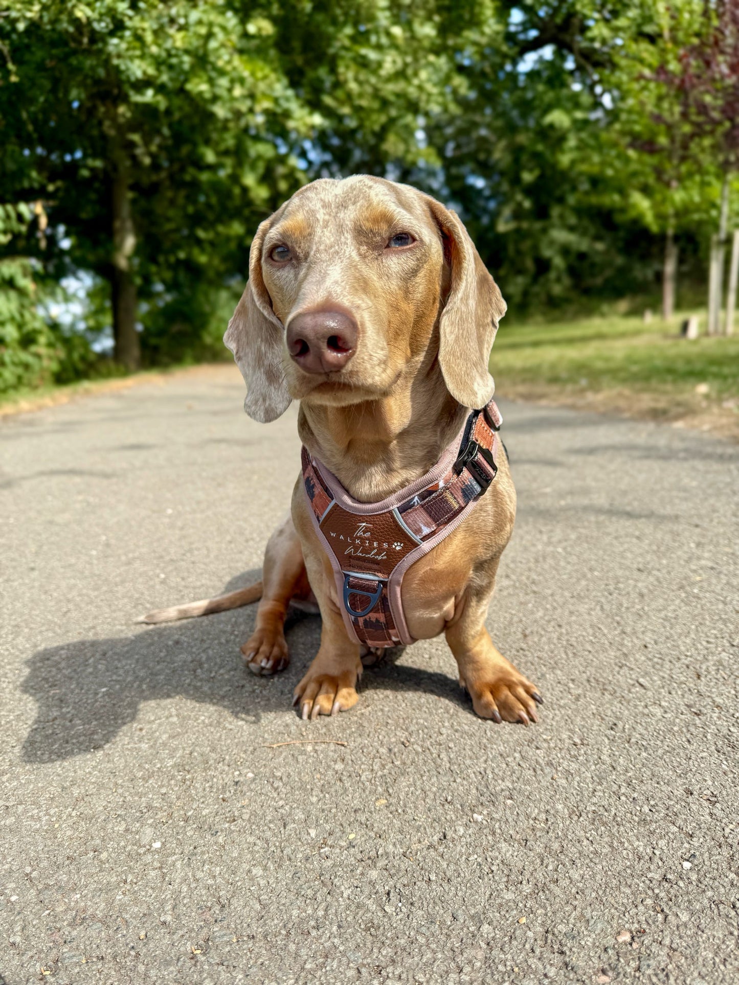 Forest Whispers Y-Flex Pro ™ Harness Chestnut Glade