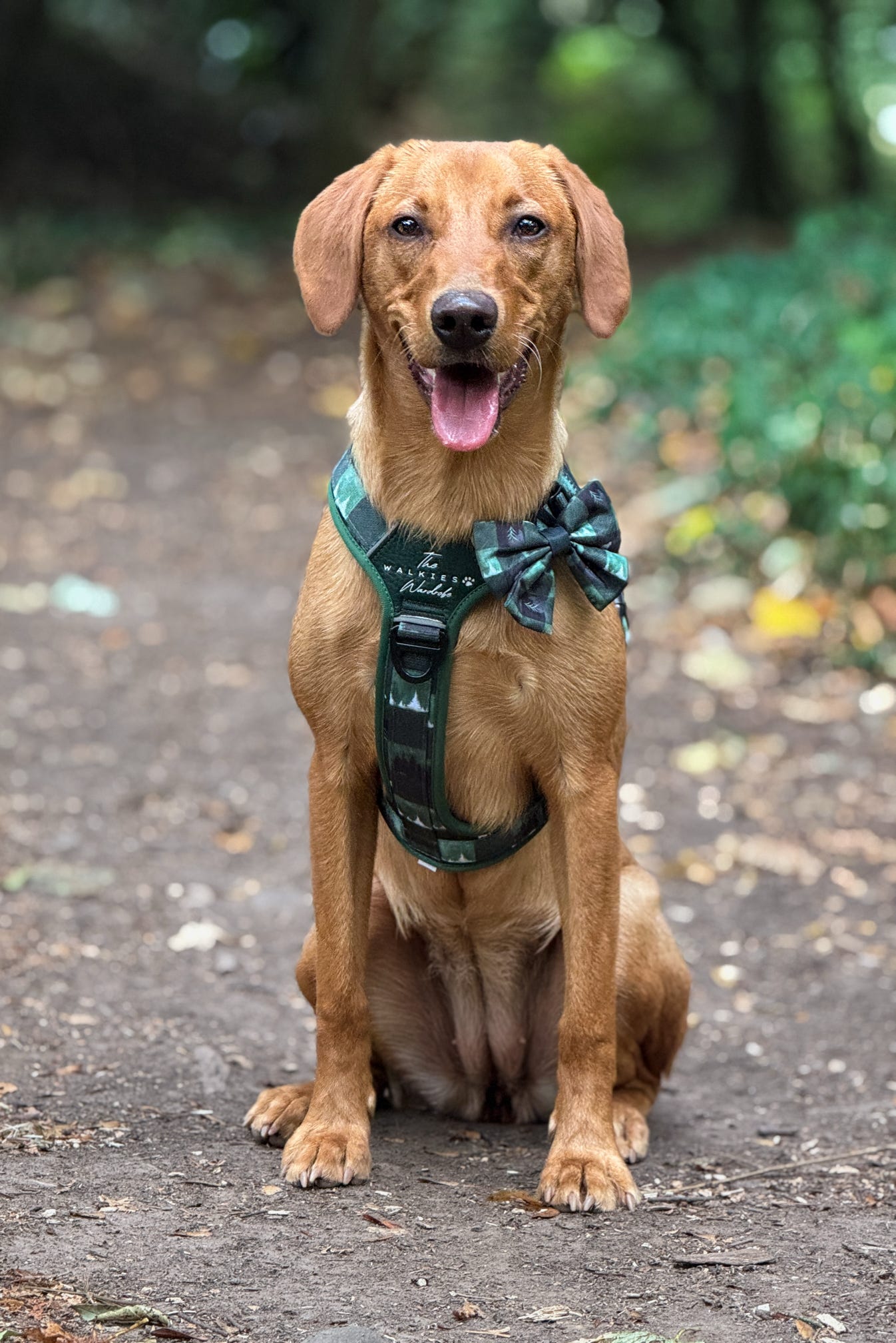Sailor Bow Tie - Evergreen Hollow