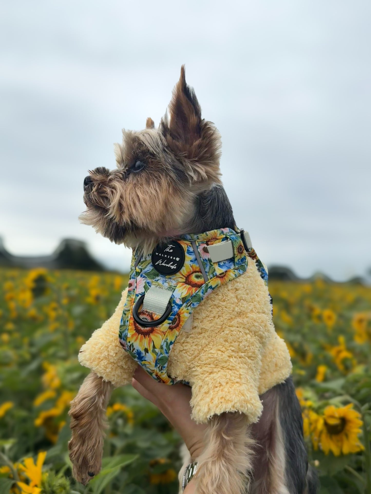 Follow the Sun Tough Trekker plushcore ™ Harness