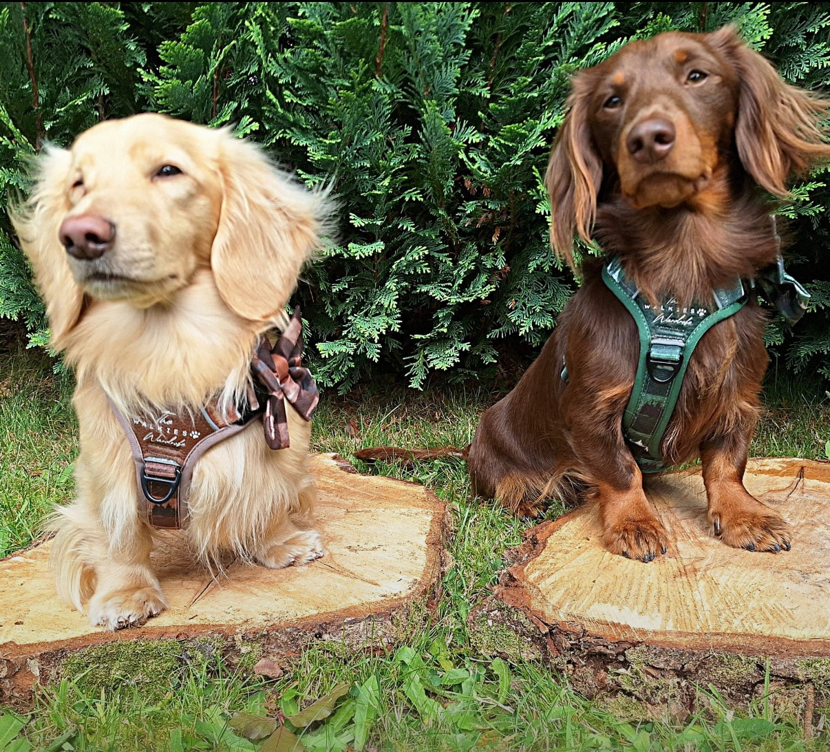 Forest Whispers Y-Flex Pro ™ Harness Chestnut Glade