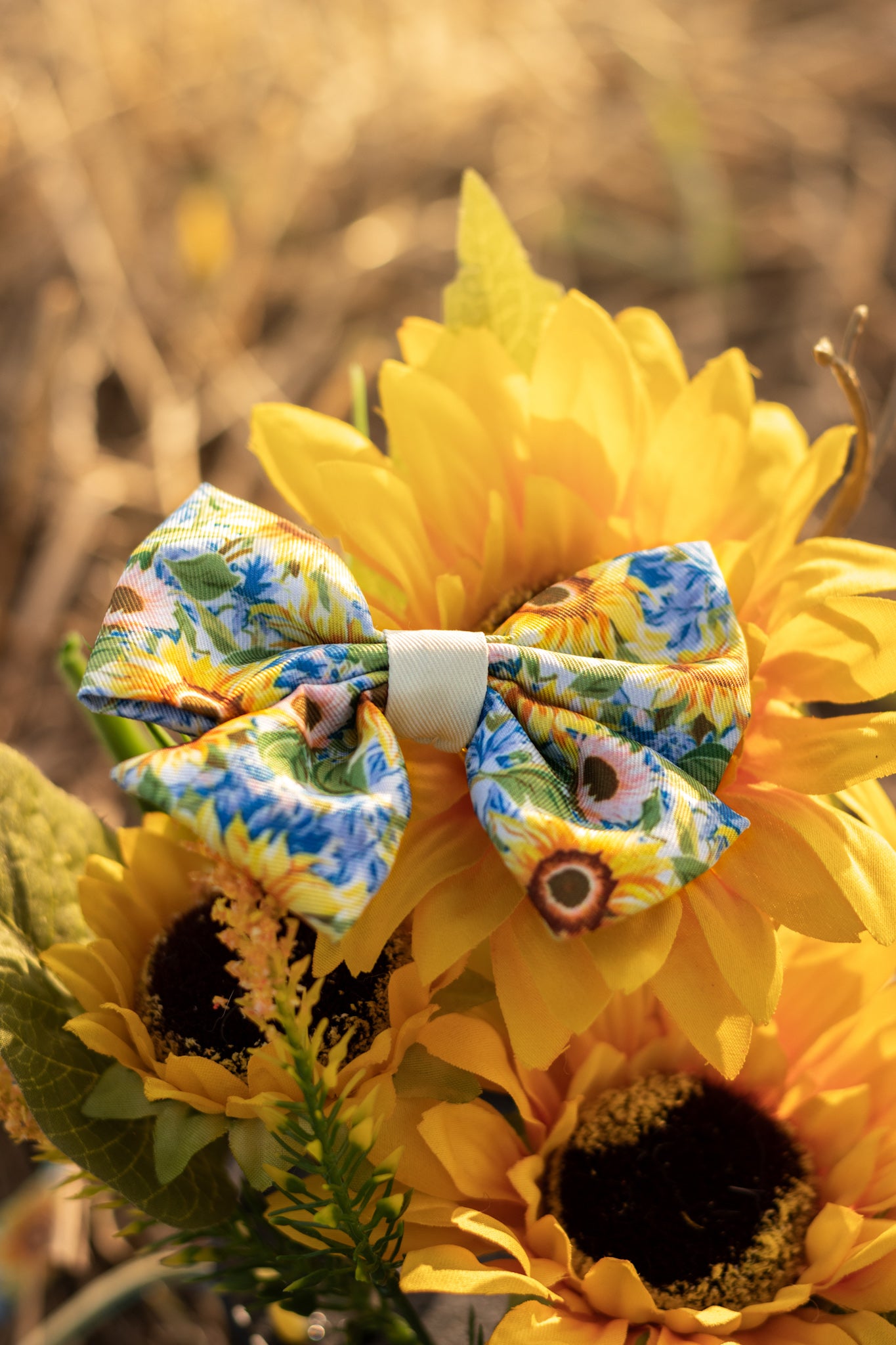 Follow the Sun Sailor Bow