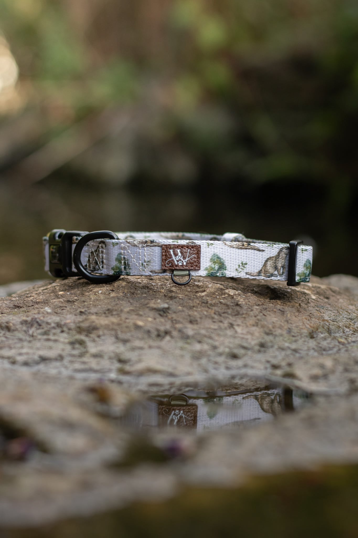 Collar- Otter Tarn