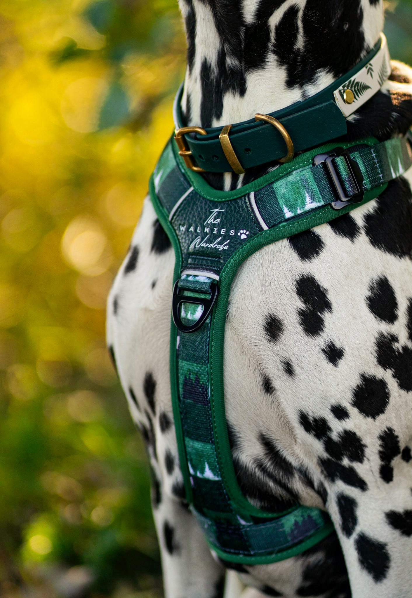 Wildriver and The Walkies Wardrobe Harness, Collar and lead Collaboration