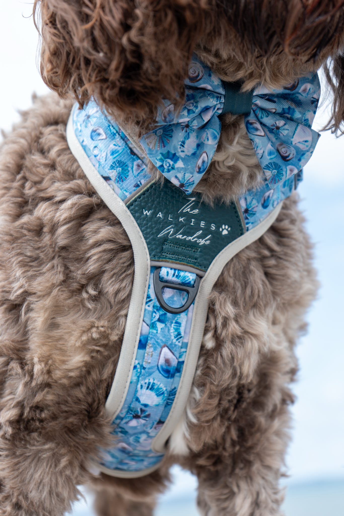 Seashell Symphony Y-Flex Pro ™ harness