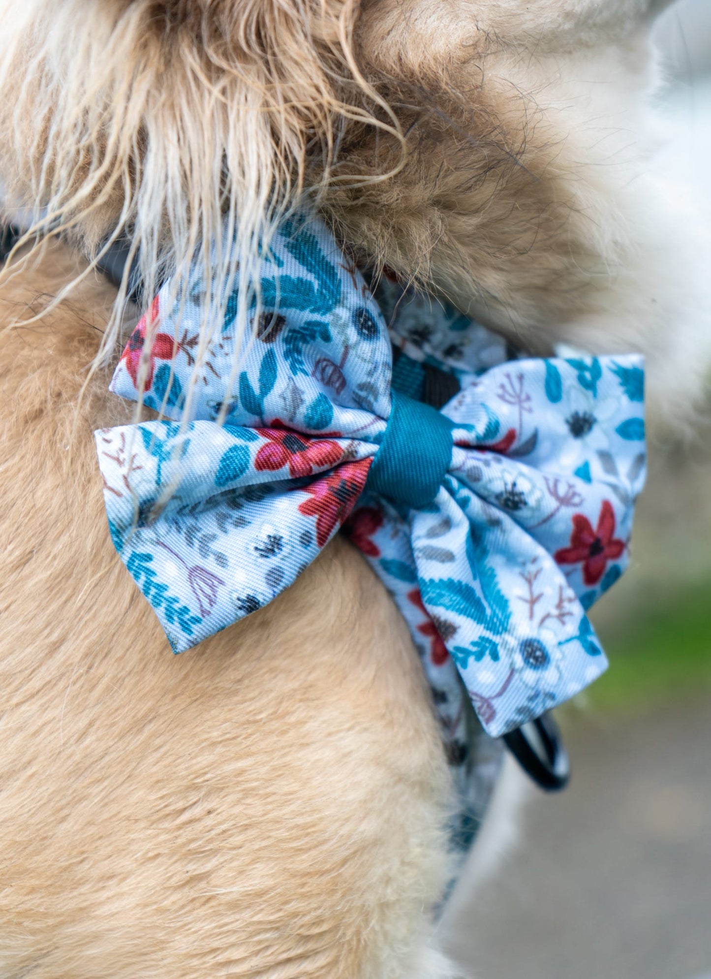 Bow- Poinsettia Wood