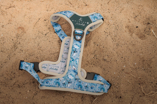 Seashell Symphony Y-Flex Pro ™ harness