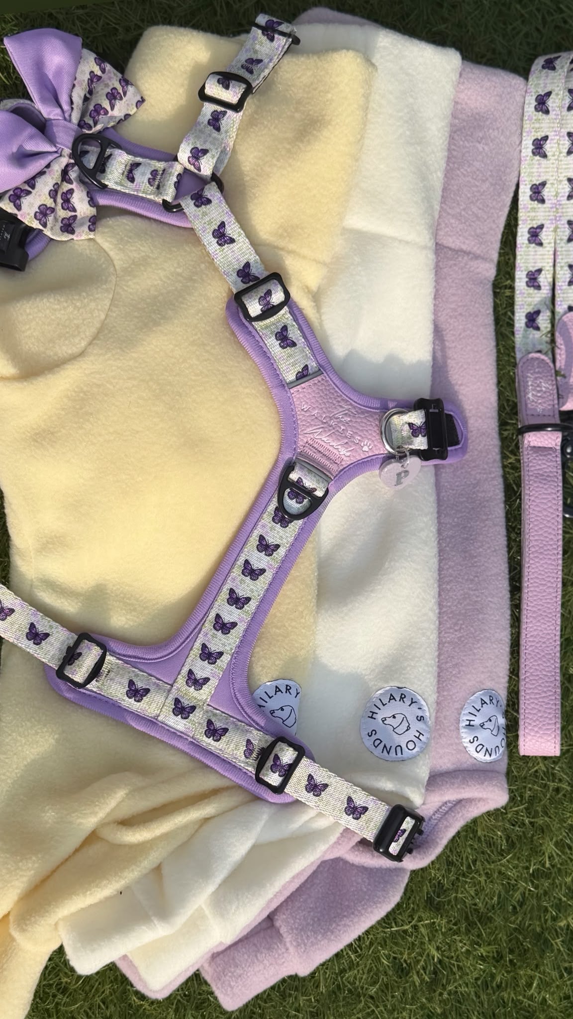 Y-Flex Pro harness- Beautiful Becoming