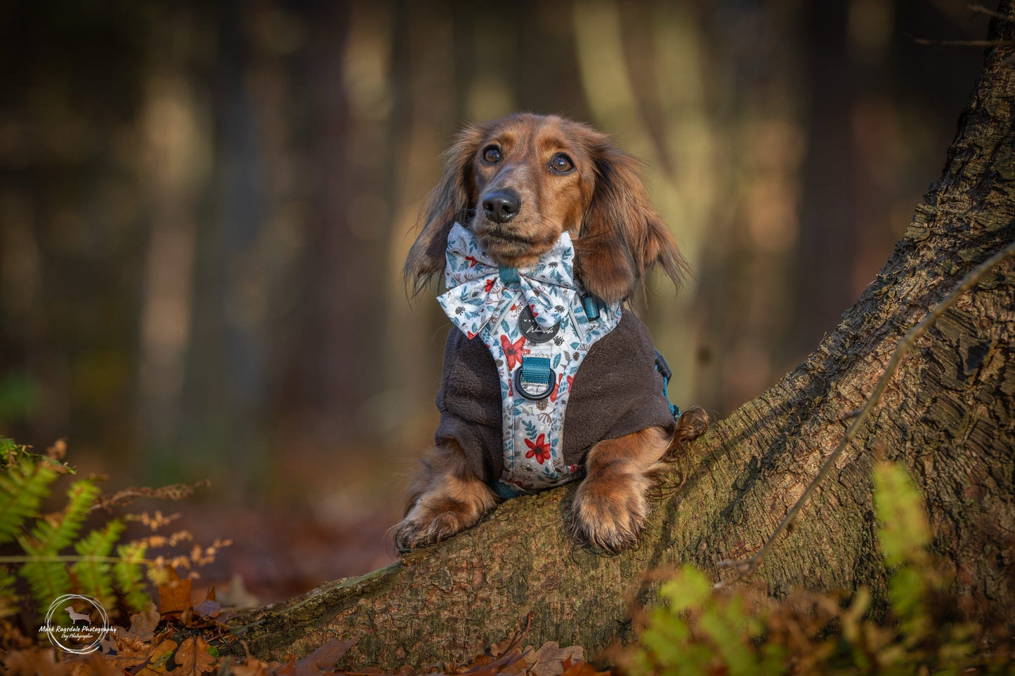 Bow- Poinsettia Wood