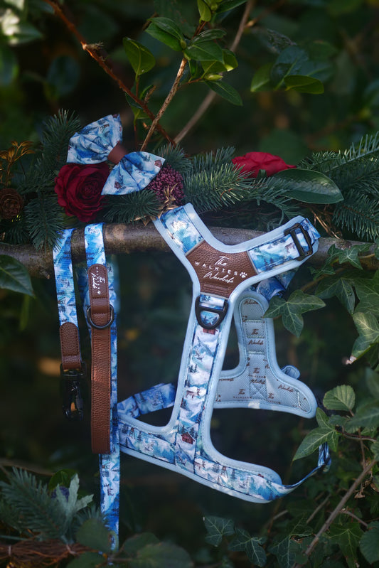 Frosted Peaks Y-Flex Pro harness