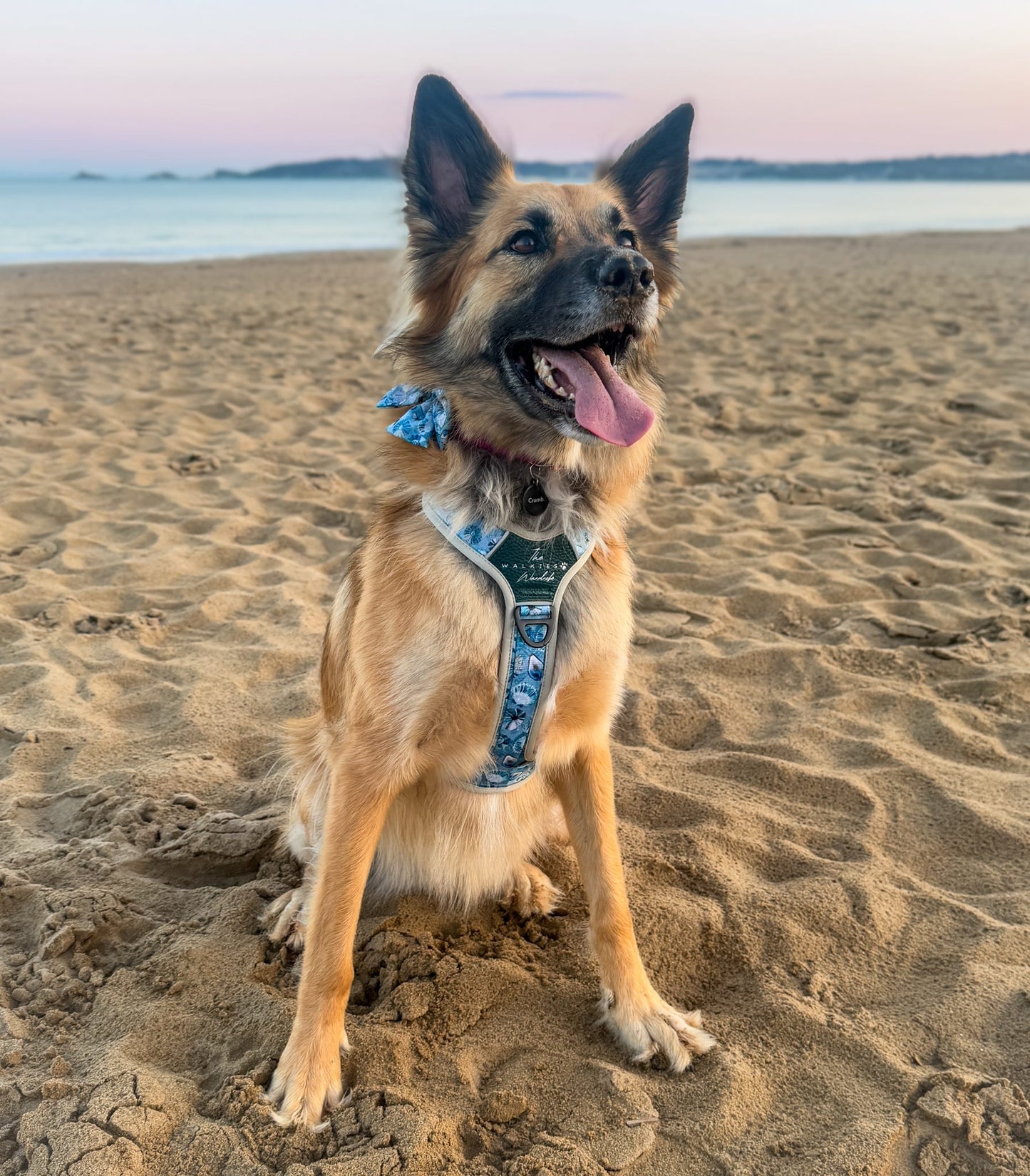 Seashell Symphony Y-Flex Pro ™ harness