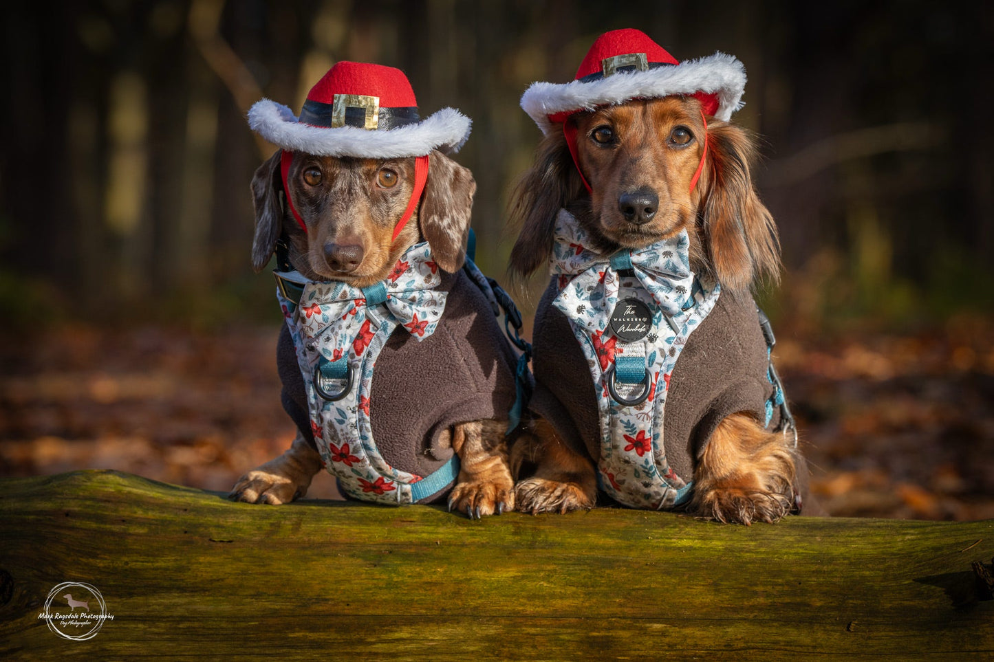 Bow- Poinsettia Wood