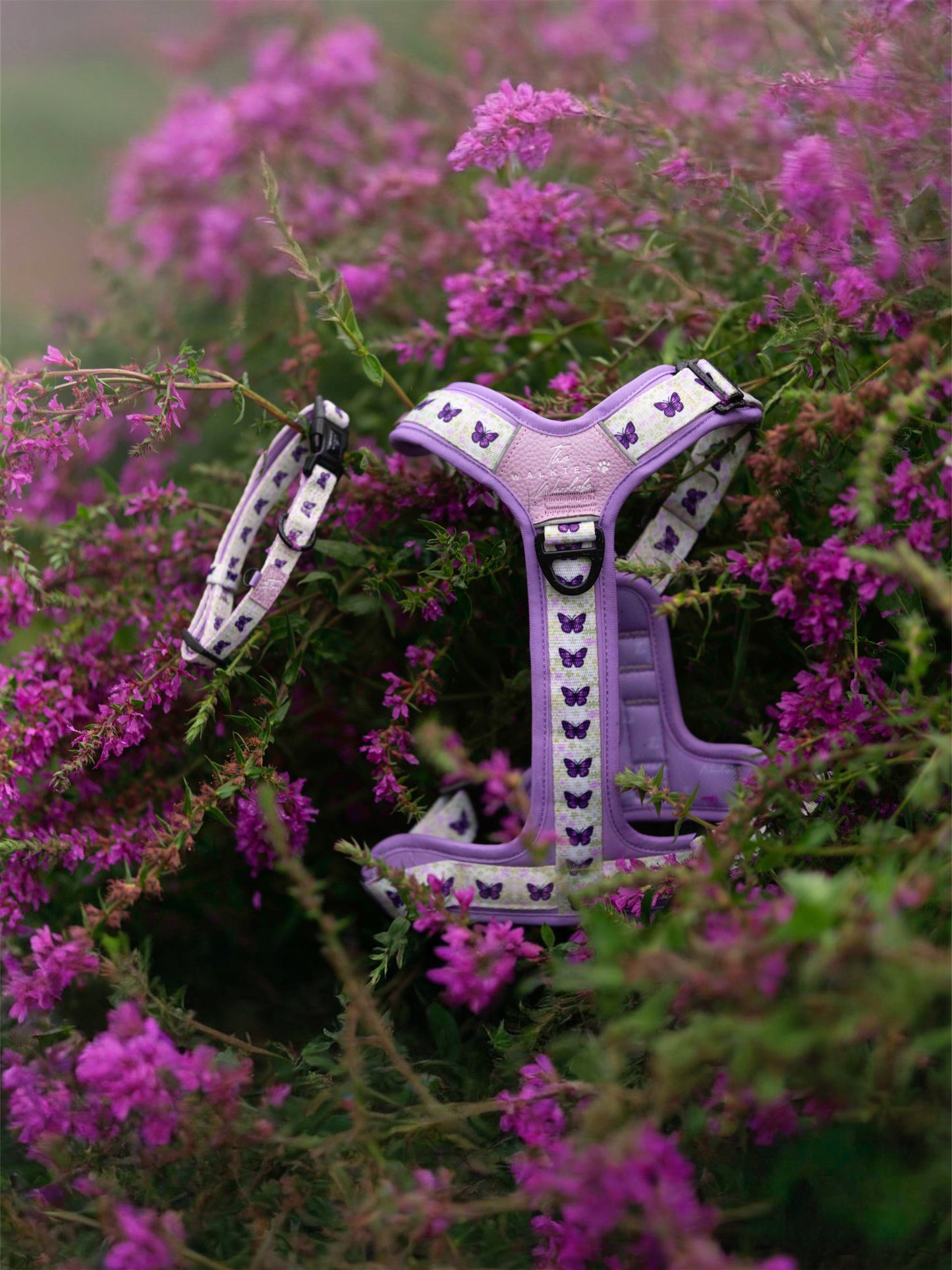 Y-Flex Pro harness- Beautiful Becoming
