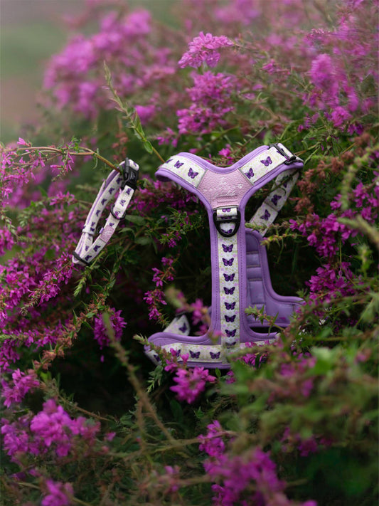 Y-Flex Pro harness- Beautiful Becoming